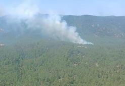 Mersin'de orman yangını