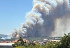 Çanakkale'de orman yangını
