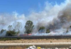 Çanakkale'de Ayvacık'ta da orman yangını çıktı