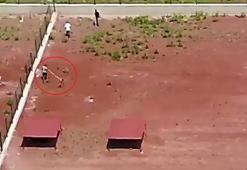 Hayvan barınağındaki şiddet kamerada; personele soruşturma