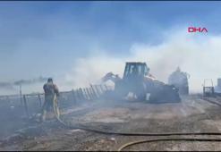 Çatalca’da aynı saatlerde başlayan 2 yangın kontrol altına alındı