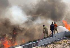 Hatay'da orman yangını