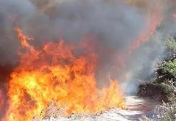 Manisa'daki orman yangını kontrol altında