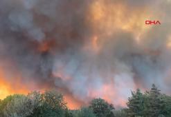 Edirne'de orman yangını