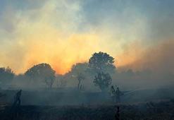 İzmir'de ot yangını; bazı evler zarar gördü