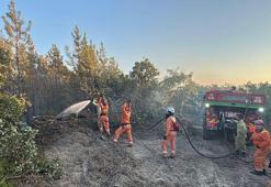 Edirne'deki orman yangını 16 saatte kontrol altına alındı