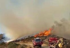 İzmir'de orman yangını