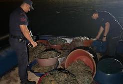 Zonguldak'ta kaçak avlanan 114 kalkan balığı ele geçirildi