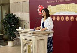 DEM Parti'li Koçyiğit: Komisyon, sürecin hukuksal teminatını sağlamalı