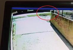 Ankara'da hafriyat kamyonunun çarptığı 2 kişi öldü; kaza kamerada