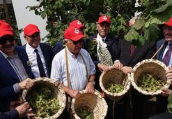 Trabzon'da 'Dünya Fındık Haftası' etkinliği