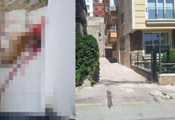 Polis, kendisine saldırdığını iddia ettiği sokak köpeğini tabancayla öldürdü