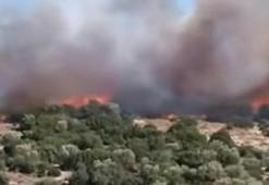 İzmir'de makilik yangını