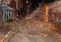İçişleri Bakanlığı'ndan 'kuvvetli rüzgar ve fırtına' uyarısı