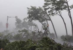 Tayvan’da tayfun alarmı