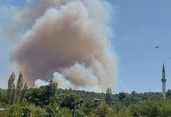 Mersin'de 3 ayrı noktada orman yangını