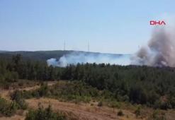 Çanakkale’de orman yangını havadan görüntülendi