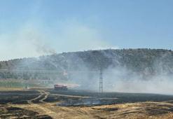 Anız yangınında alevler ormana sıçradı