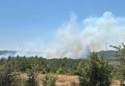 Çanakkale’de orman yangını