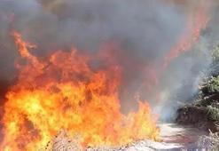 Manisa'daki orman yangınına ilişkin 1 tutuklama