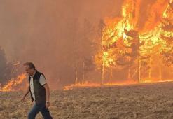 Bolu'da orman yangınına neden olan 1 şüpheli tutuklandı