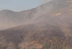 Hatay'daki orman yangını ikinci gününde; havadan müdahale başladı