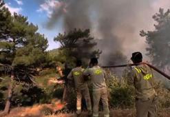 Mersin'deki orman yangını 2'nci gününde