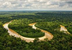 Amazon yağmur ormanları kuruyor