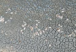 Kuraklıktan etkilenen Ulaş Gölü’ne ‘can suyu’