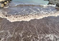 Tekirdağ’da deniz, kızıl yosunlar nedeniyle kırmızı renge büründü