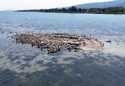 Sapanca Gölü'nde sular çekilince tarihi kilise ortaya çıktı