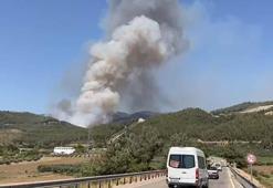 Osmaniye'de orman yangını kontrol altında