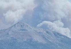Suriye'de sınıra yakın bölgede çıkan orman yangını Türkiye'ye sıçradı