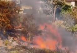 Adana'da mahalleliyi tedirgin eden yangın kontrol altında