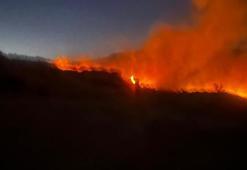 Diyarbakır’da çıkan örtü yangını, 3 saatte söndürüldü