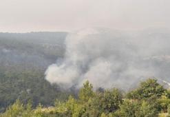 Mersin'in 2 ilçesindeki orman yangınları kontrol altına alındı