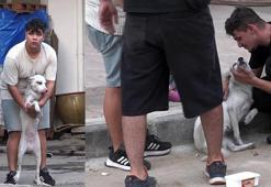 Yangın çıkan evdeki 2 köpeği itfaiye kurtardı