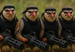 'Kekliğin keneleri yediği iddiası safsata'