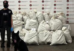 Kapıkule'de 245 kilo esrarı 'Füge' buldu