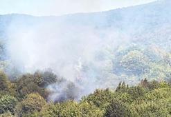 Bartın'da orman yangını kontrol altında