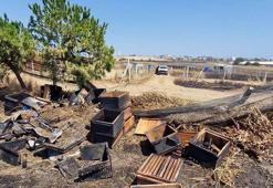 Anız yangınında 150 arı kovanı zarar gördü