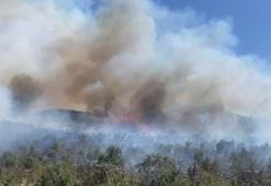 Diyarbakır’da 3 noktada örtü yangını