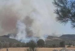 Diyarbakır’da 3 noktada örtü yangını
