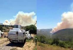 Kocaeli'deki orman yangını yerleşim yerlerine sıçradı