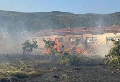 Rüzgarın etkisiyle kopan elektrik telleri yangına neden oldu