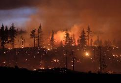 Karaman'da orman yangını
