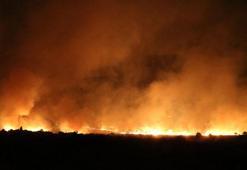 Diyarbakır’da 3 noktada örtü yangını