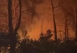 Çanakkale’de orman yangını kontrol altında