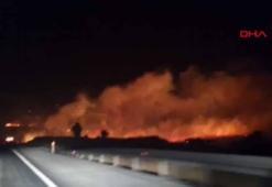 Diyarbakır'daki örtü yangını; hayvanların yandığını görünce alevlerin arasına daldı