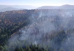 Karaman'daki orman yangını kontrol altında
